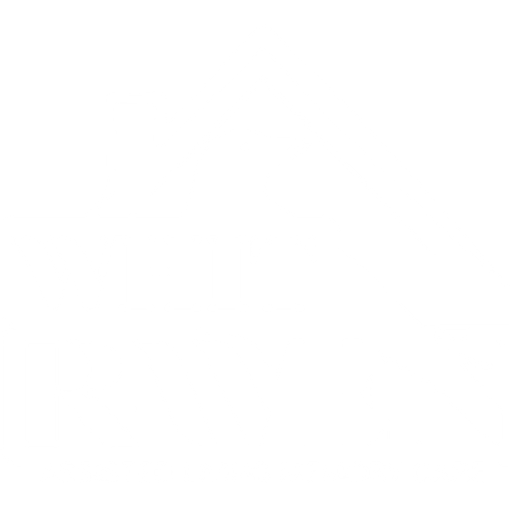 cropped-raven-logo-02-white.png